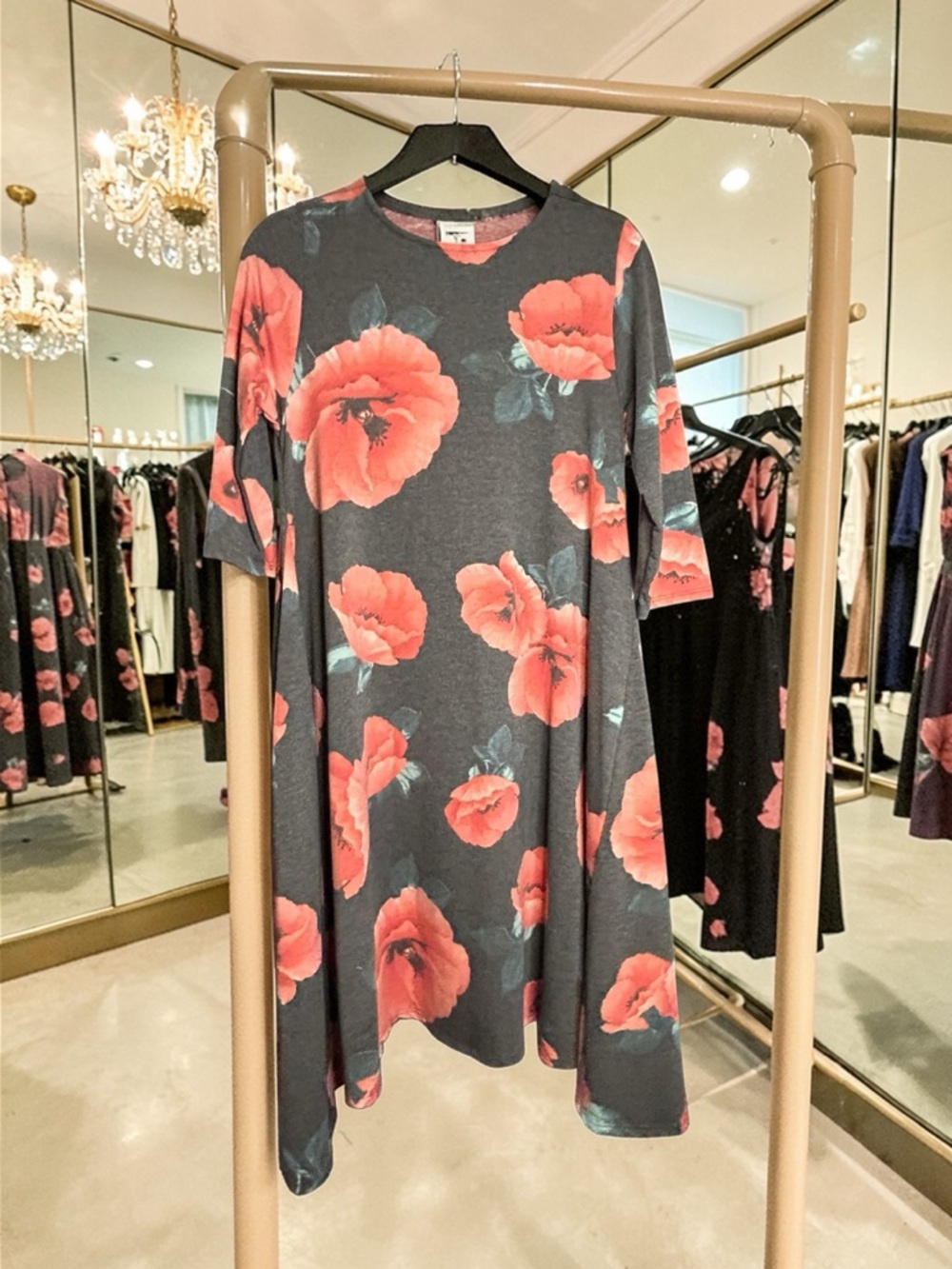 3/4 Sleeve Poppy Joplin Dress w/Pockets